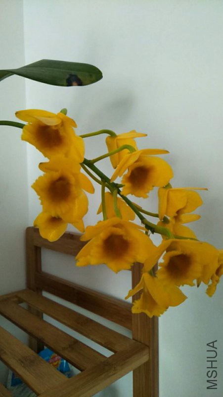 ΢��ͼƬ_20180425090935.jpg
