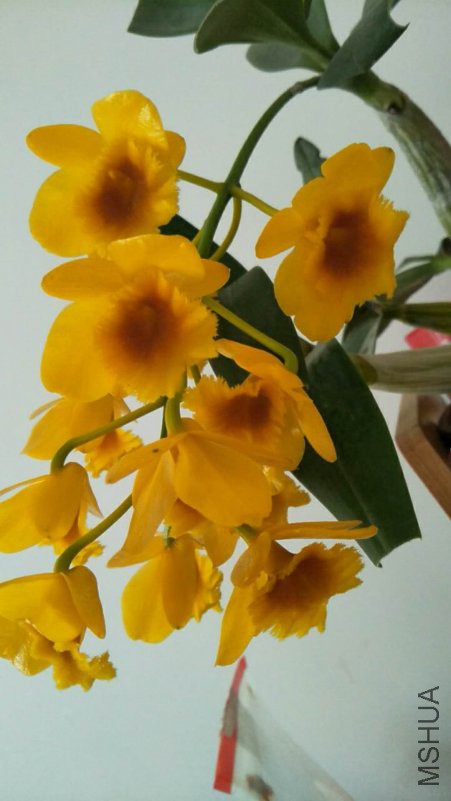 ΢��ͼƬ_20180425090939.jpg
