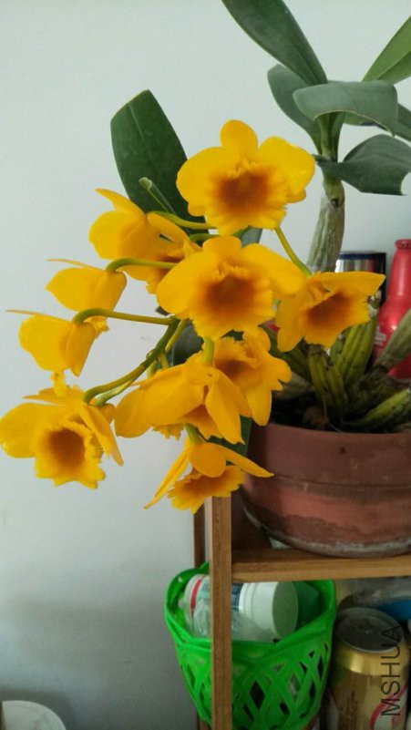 ΢��ͼƬ_20180425090942.jpg
