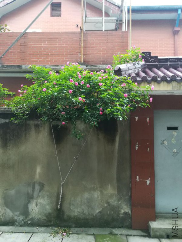 IMG_20180424_170629.jpg