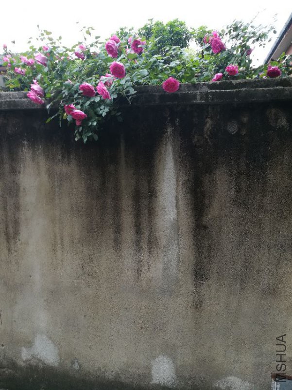 IMG_20180424_170652.jpg
