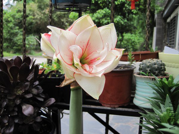 �������տ�ʱ