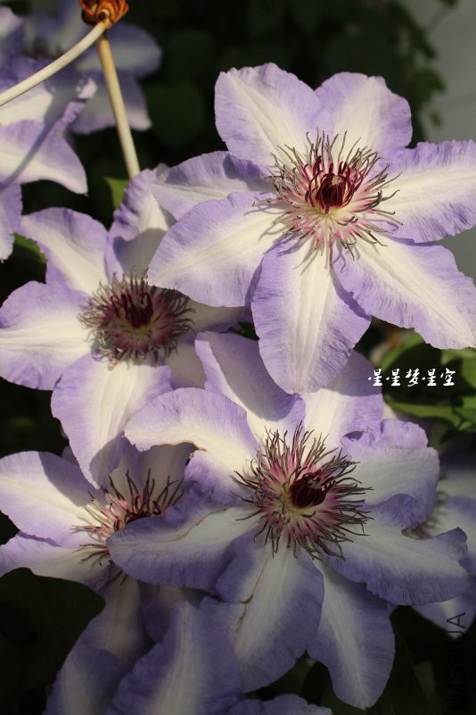 ��11.jpg
