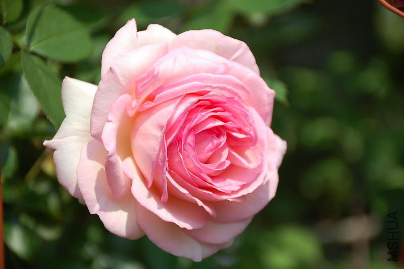 DSC_73090653.JPG