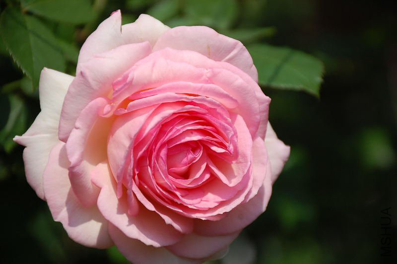 DSC_72840628.JPG