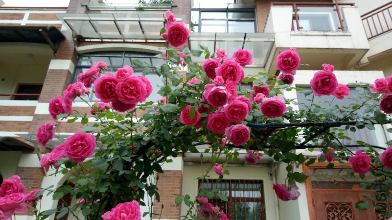 ΢��ͼƬ_20180426090022.jpg