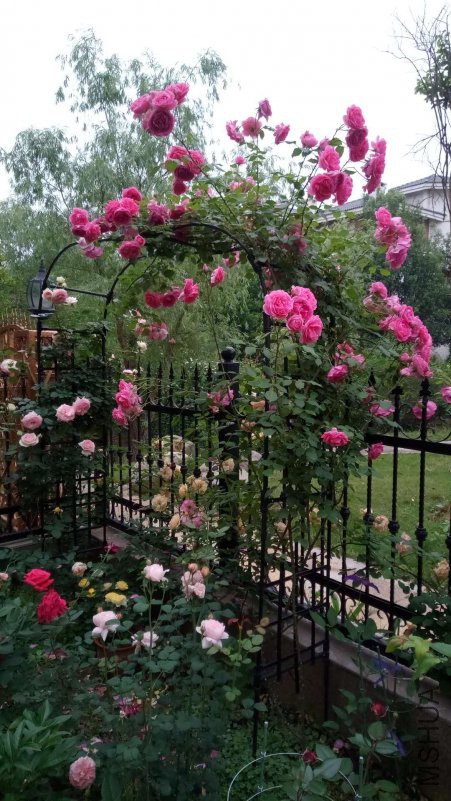 ΢��ͼƬ_20180426094343.jpg