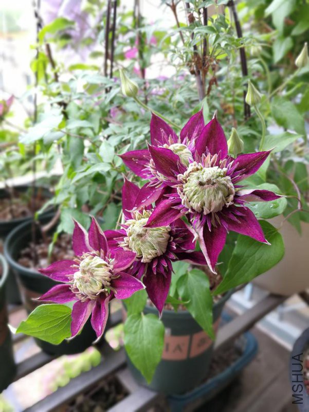 ������ 2018.4.22.JPG
