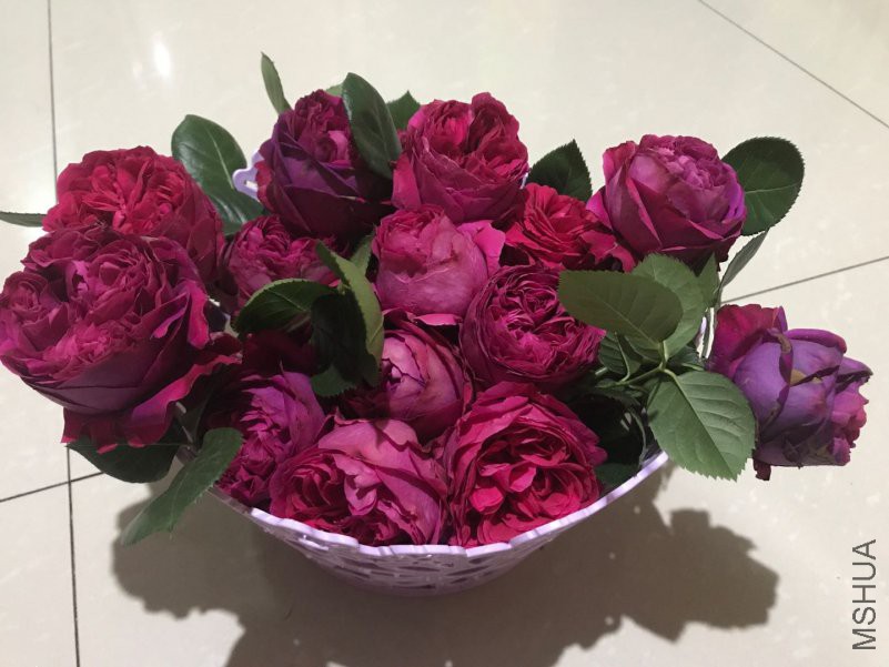 ΢��ͼƬ_20180424115350.jpg