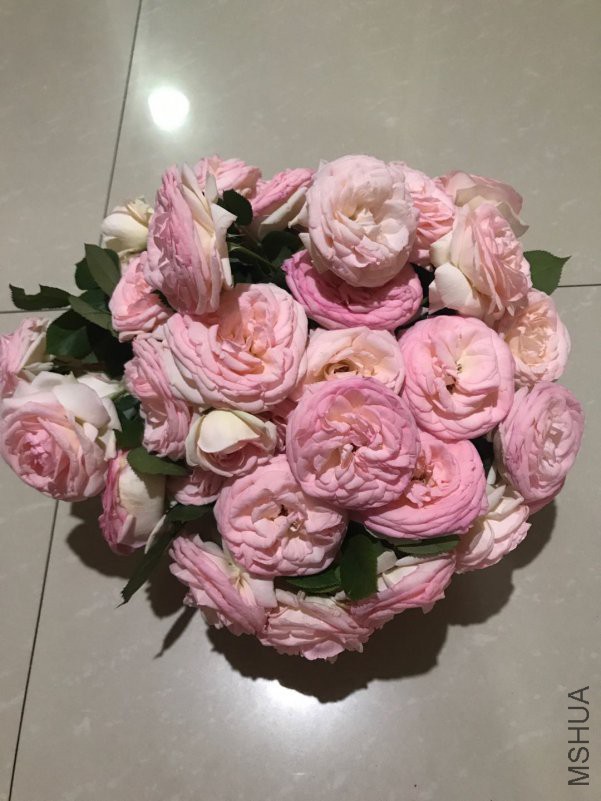 ΢��ͼƬ_201804241153501.jpg