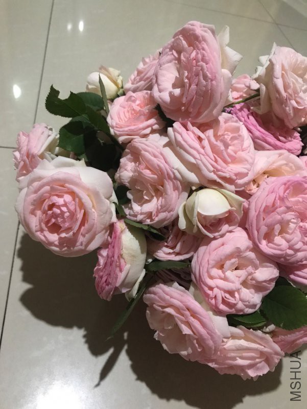 ΢��ͼƬ_201804241153502.jpg