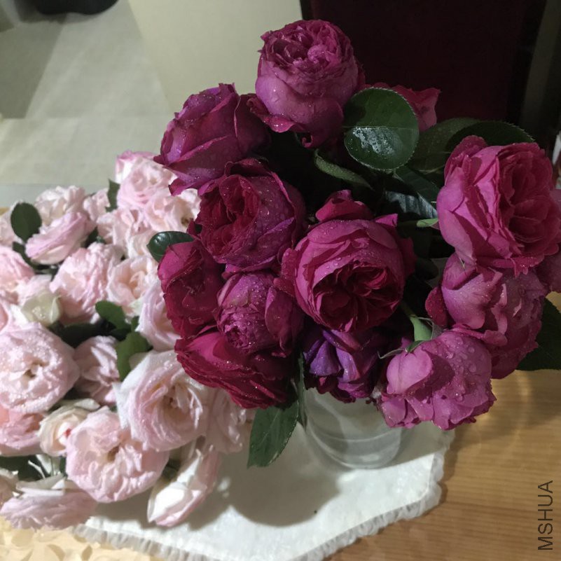 ΢��ͼƬ_201804241157061.jpg