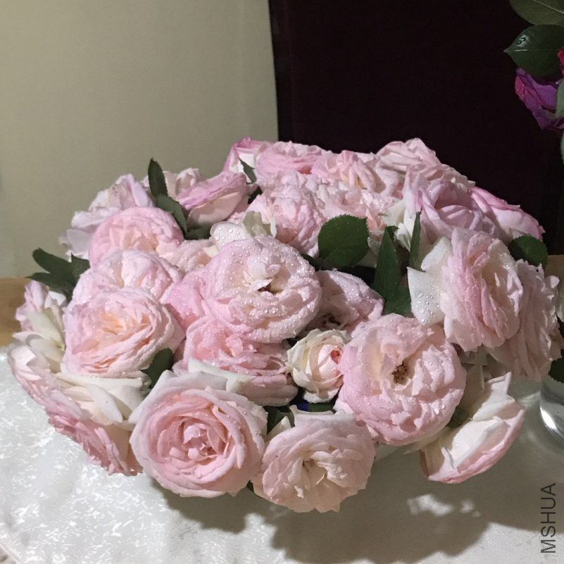 ΢��ͼƬ_201804241157063.jpg