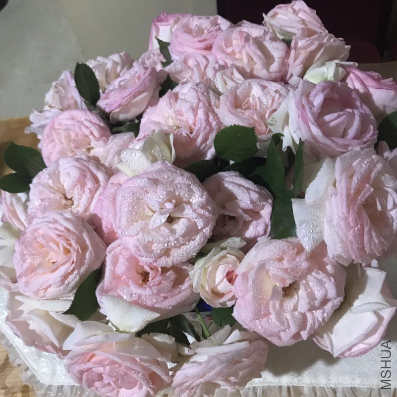 ΢��ͼƬ_20180424115706.jpg