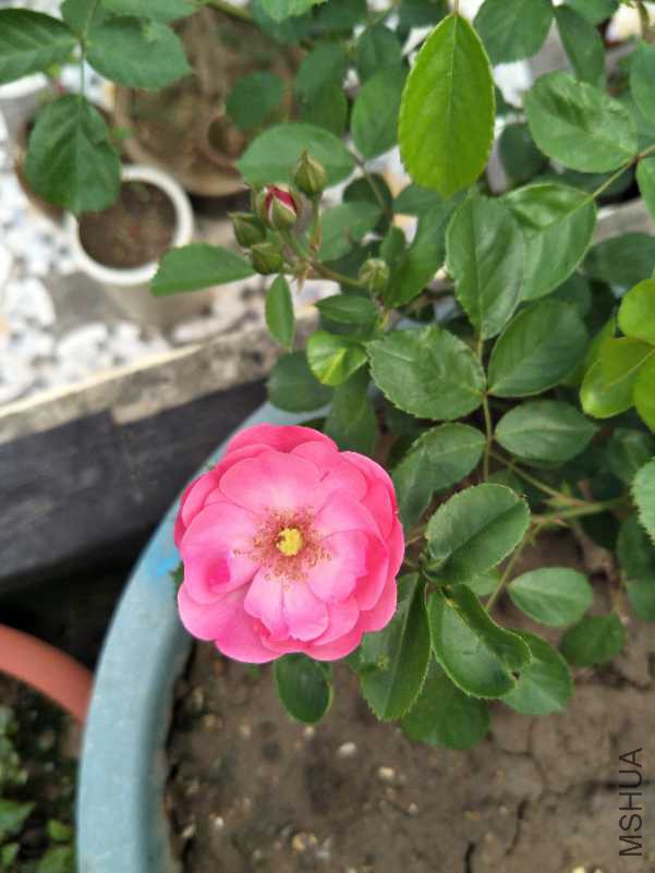 IMG20180426114449.jpg