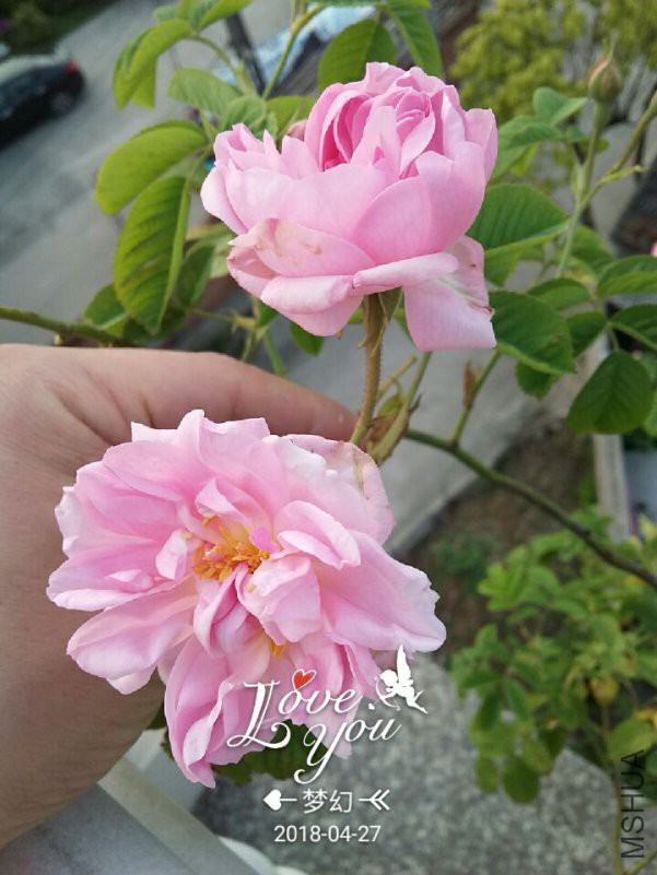 QQͼƬ20180427093920.jpg
