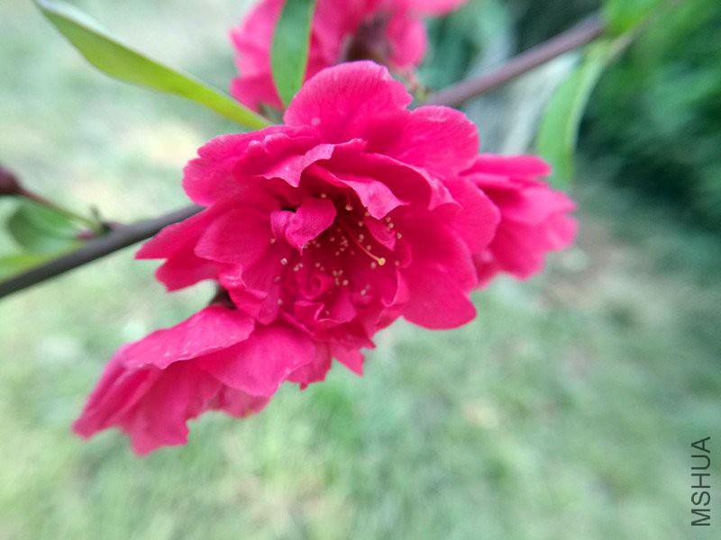 QQͼƬ20180409164706_����.jpg