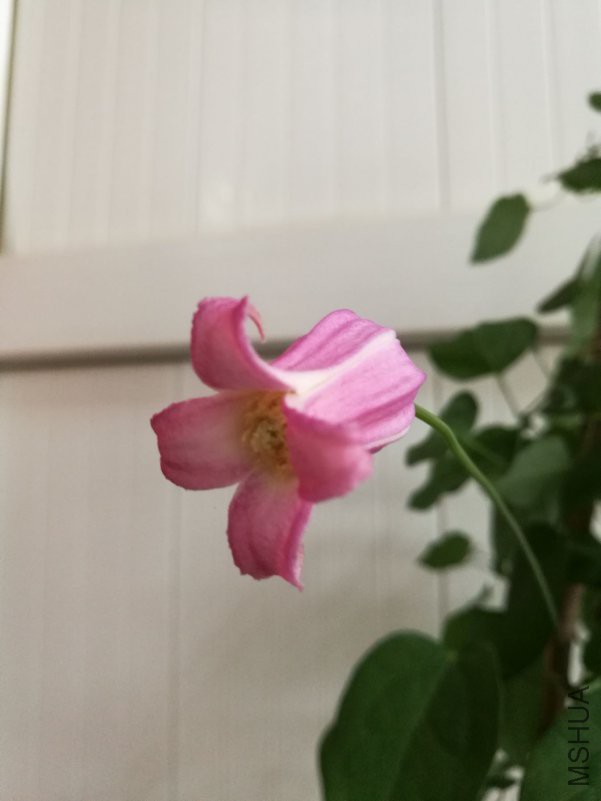 QQͼƬ20180428105031.jpg
