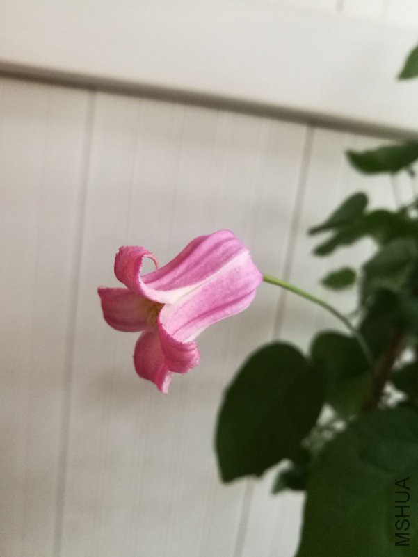 QQͼƬ20180428105053.jpg