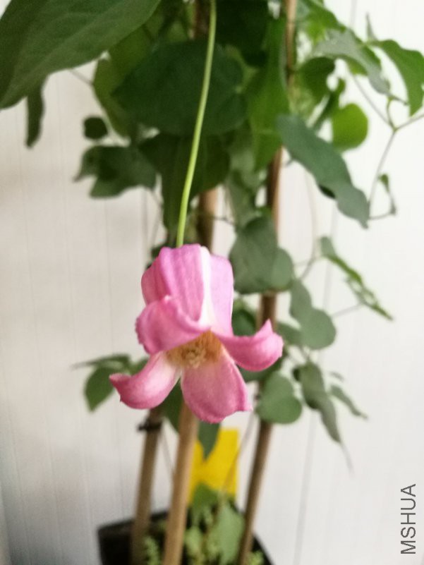 QQͼƬ20180428105049.jpg