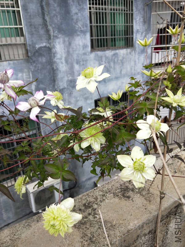 IMG20180426162338.jpg