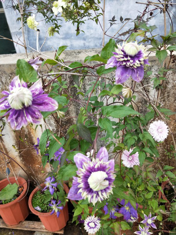 IMG20180426162346.jpg