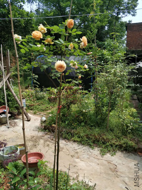 ΢��ͼƬ_20180428224701.jpg