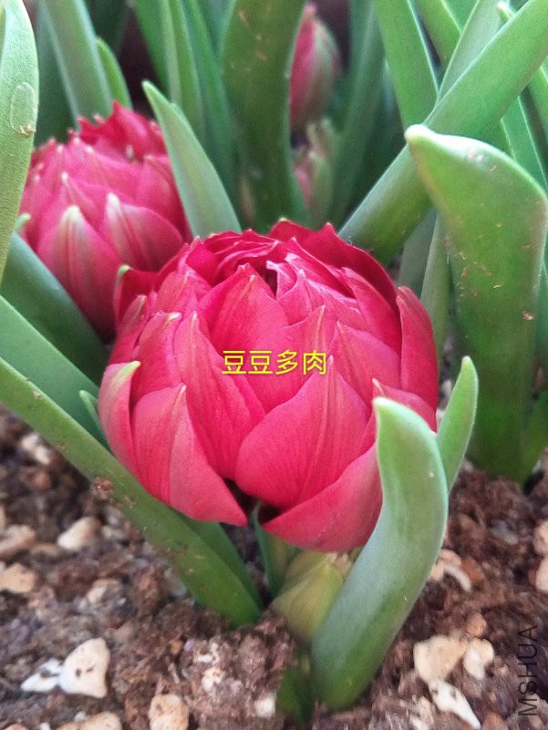 TIMͼƬ20180429134709.jpg
