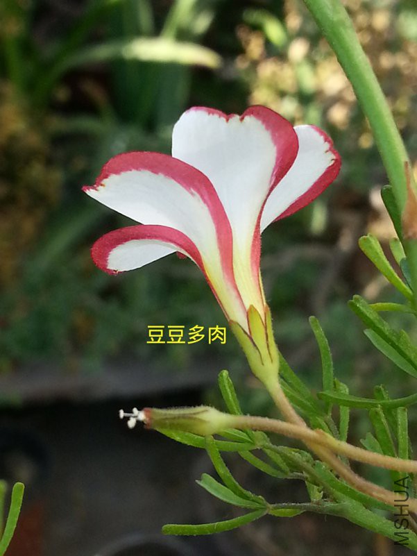 TIMͼƬ20180429134747.jpg