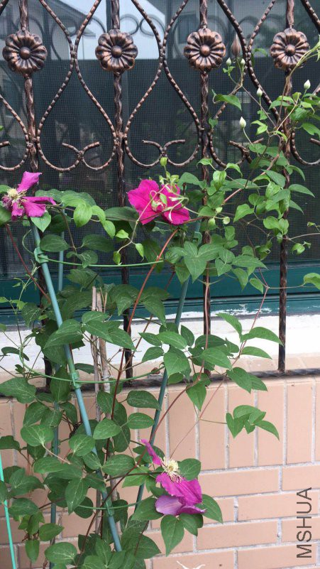 ΢��ͼƬ_20180430091245.jpg