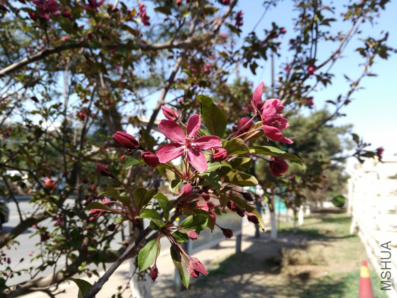 IMG_20180430_090435.jpg