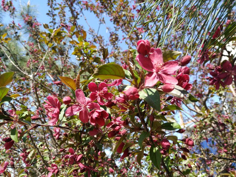 IMG_20180430_090436.jpg