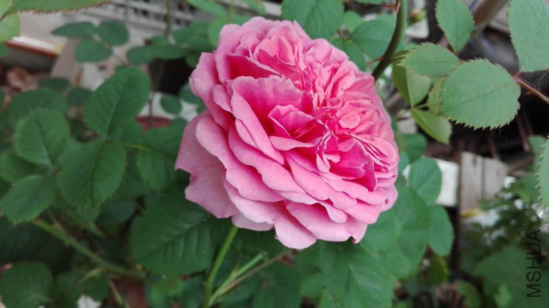 ���ع���4.29  1.jpg
