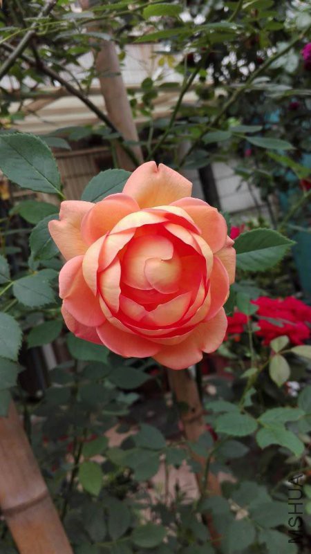 �����ط���4.29.jpg