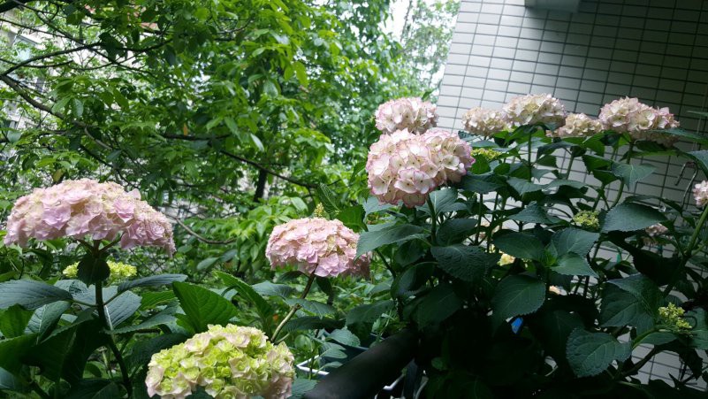 QQͼƬ20180430133825.jpg