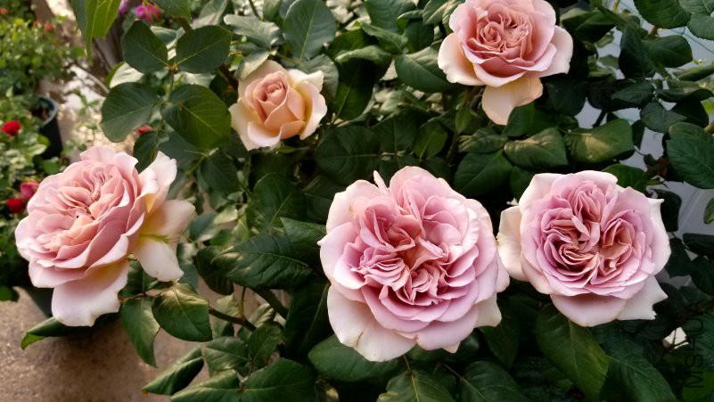 20180426_170139.jpg