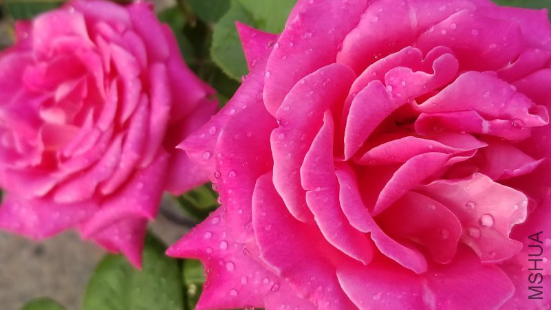 20180426_170605.jpg