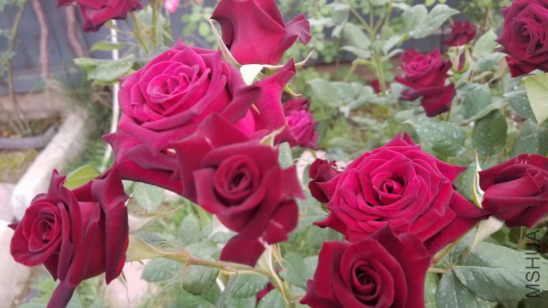 20180430_173623.jpg