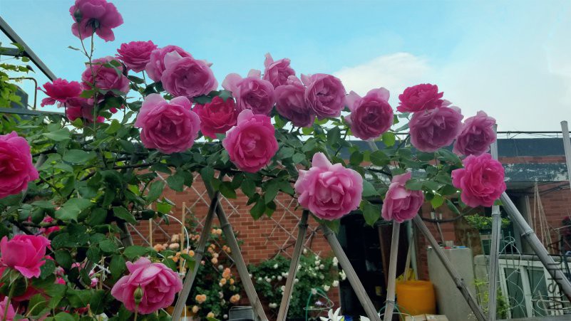 20180430_181548_mix01.jpg