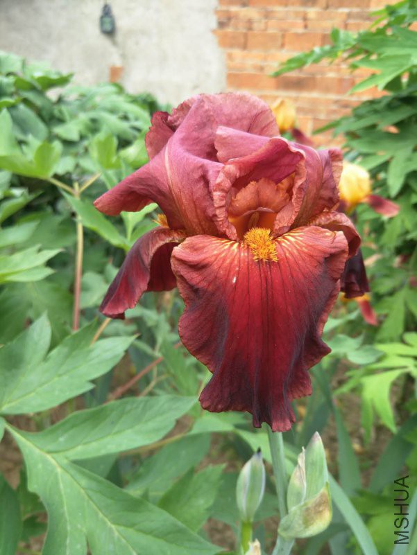 webwxgetmsgimg (15).jpg