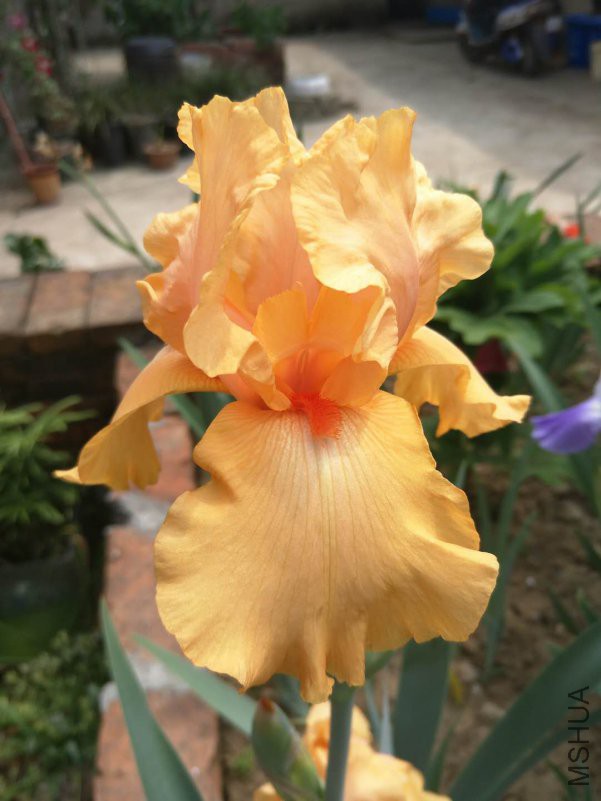 webwxgetmsgimg (14).jpg