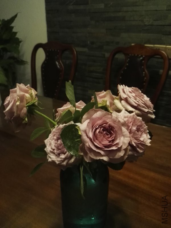 IMG_20180501_090314.jpg