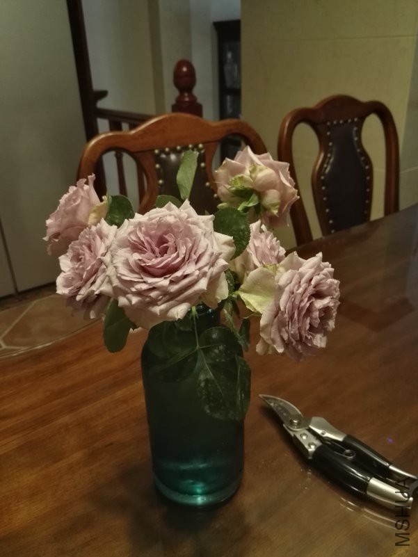 IMG_20180501_090230.jpg