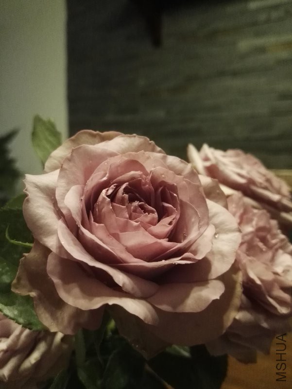 IMG_20180501_090339.jpg