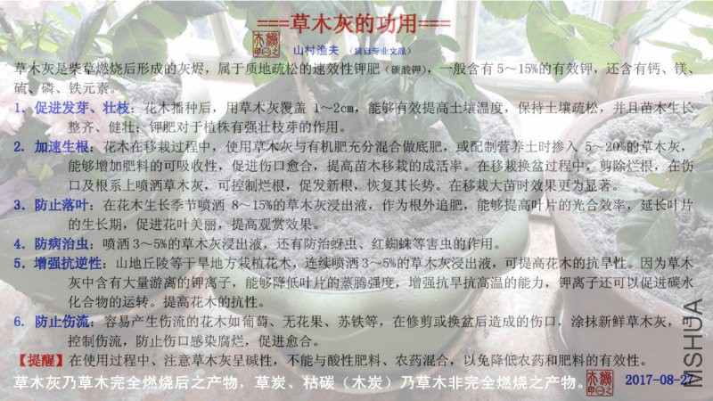 C-03��ľ�ҵĹ���.jpg