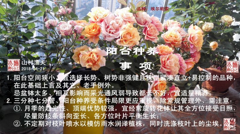 D-04��̨��������.jpg