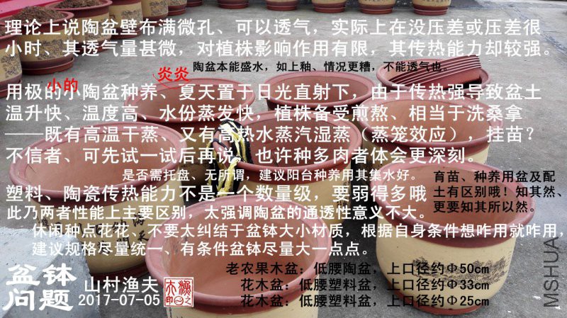 D-01�貧.jpg