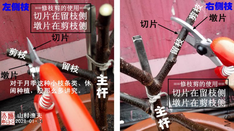 G-03��֦��ʹ��.jpg