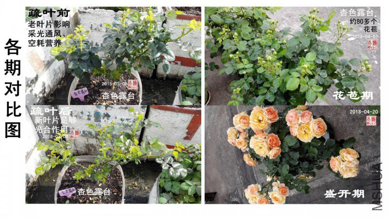 E-03���ڶԱ�ʵ��.jpg