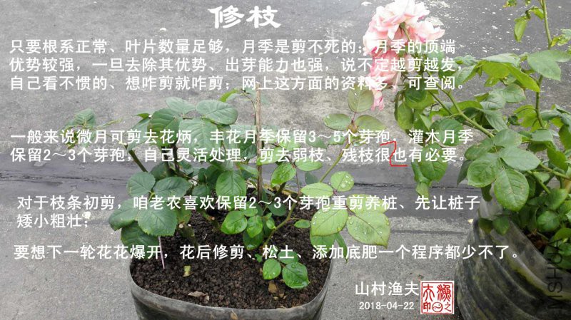 G-01�����޼�.jpg